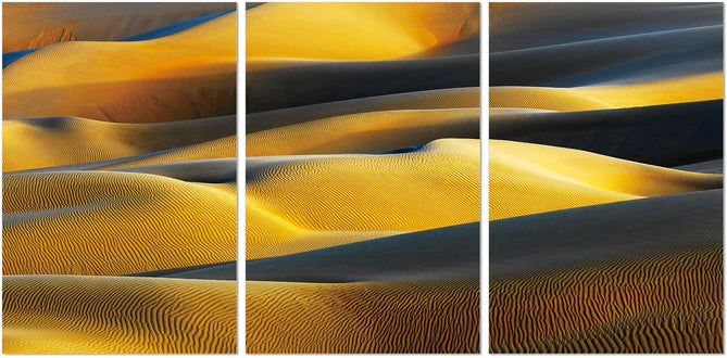 Artistic Expressions for Your Walls Explore Wall Art from Z Modern Furniture - Alexandria VA & Washington DC