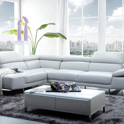 Sleek and Comfortable Sectionals for Modern Living Spaces from Z Modern Furniture - Alexandria VA & Washington DC