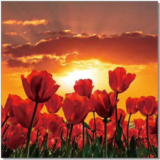 Express Your Style Wall Art Collection from Z Modern Furniture - Alexandria VA & Washington DC