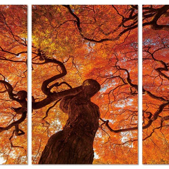 Explore a World of Wall Art From Z Modern Furniture - Alexandria VA & Washington DC