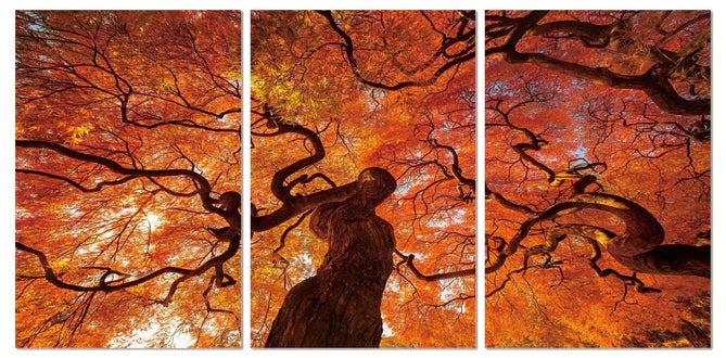 Artistry on Display: Explore J&M Furniture's Stunning Wall Art Pieces from Z Modern Furniture - Alexandria VA & Washington DC