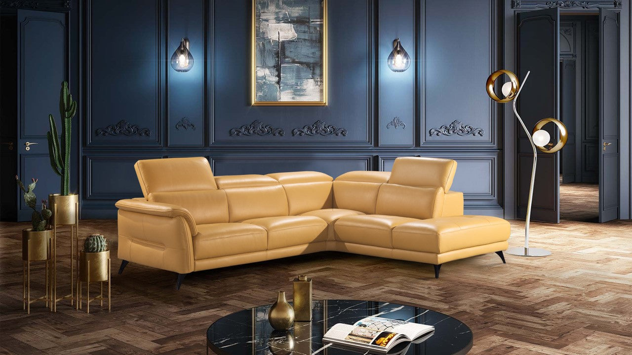 Elevate Your Living Space with the European Living Collection from Z Modern Furniture - Alexandria VA & Washington DC