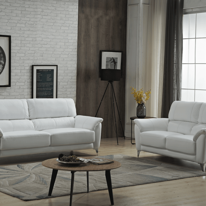 Sofas Loveseats and Chairs the Perfect Combination of Comfort and Style from Z Modern Furniture - Alexandria VA & Washington DC