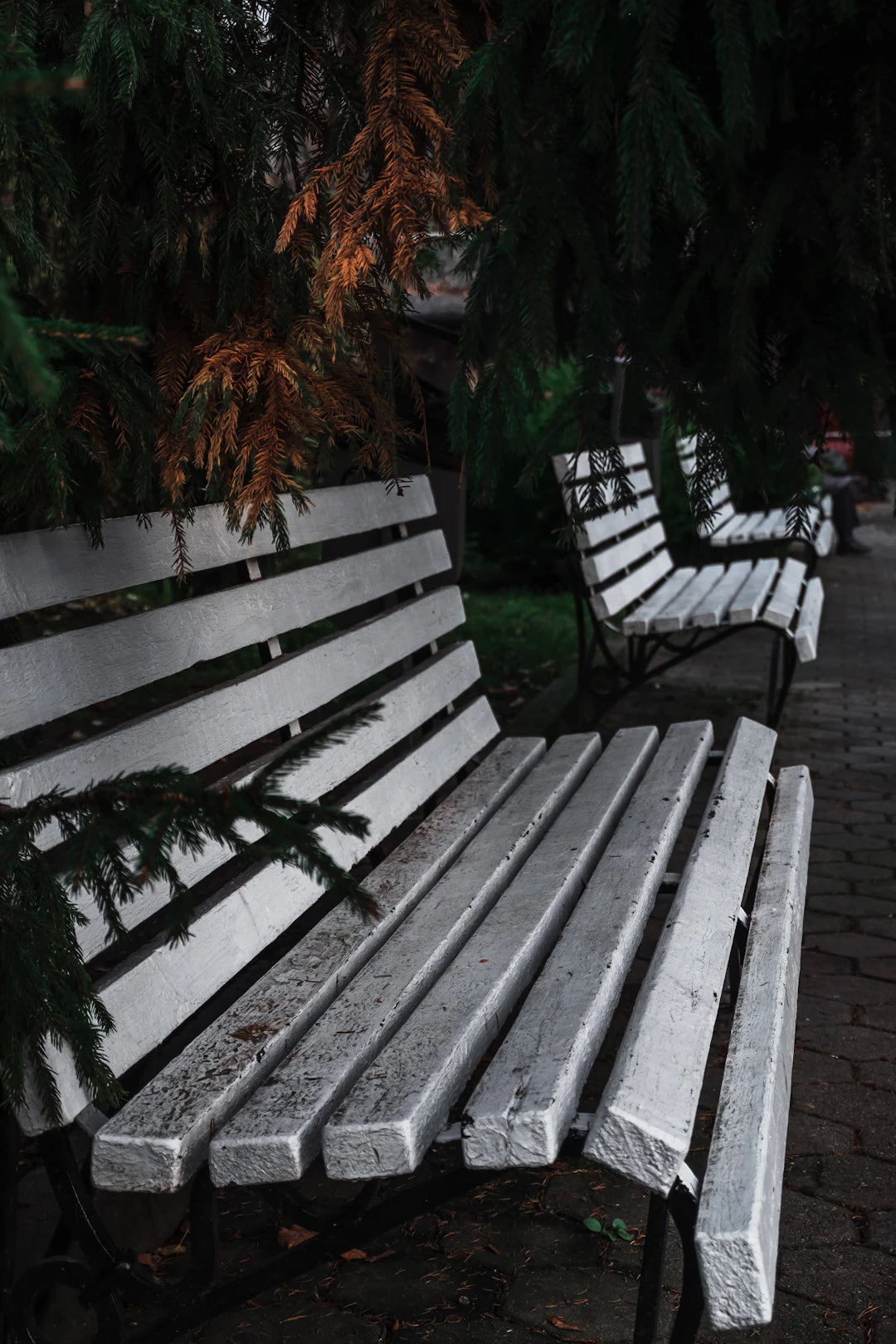 Stylish Multi-Use Benches for Modern Living Spaces
