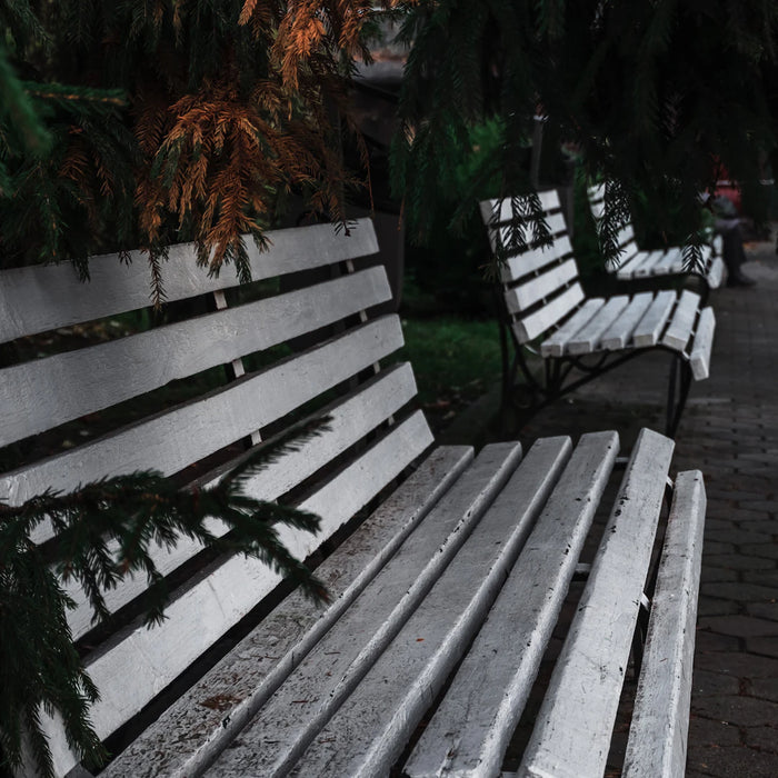 Stylish Multi-Use Benches for Modern Living Spaces