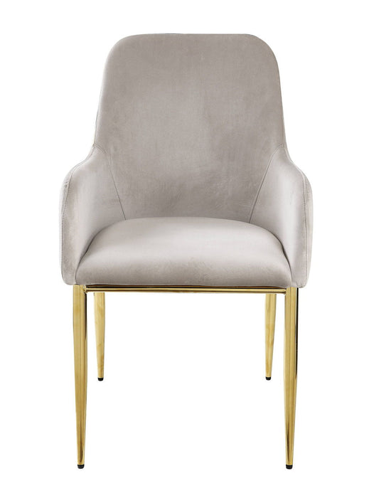Velvet Wood Metal Dining Side Chairs (Set of 2) - Gray