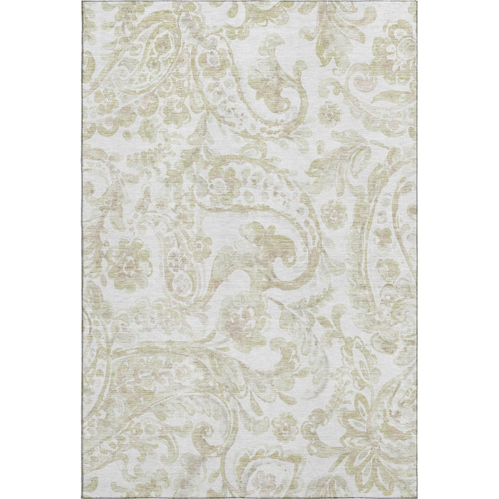 10' X 14' Paisley Washable Area Rug With UV Protection - Beige And Ivory