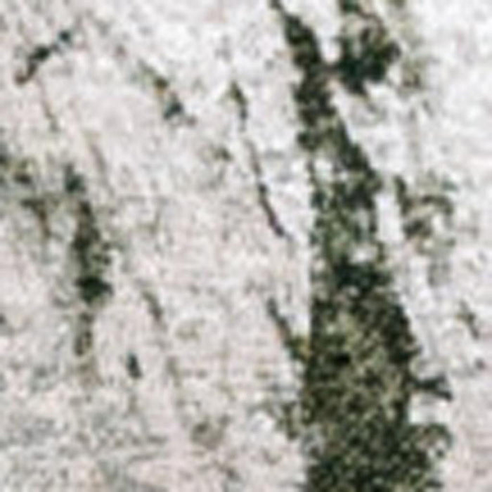 5' X 7' Abstract Washable Area Rug With UV Protection (609942) - Green / White