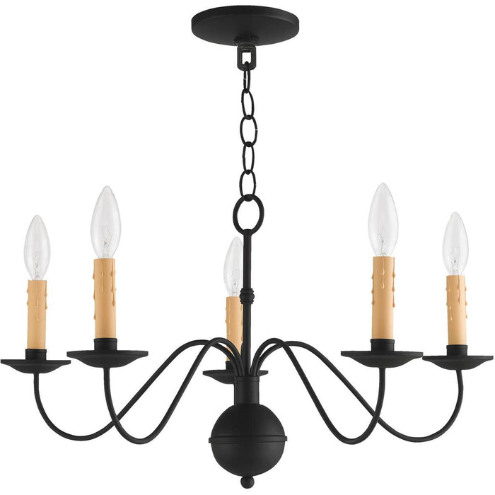 13'' Five Light Dimmable Chandelier With Shades - Black