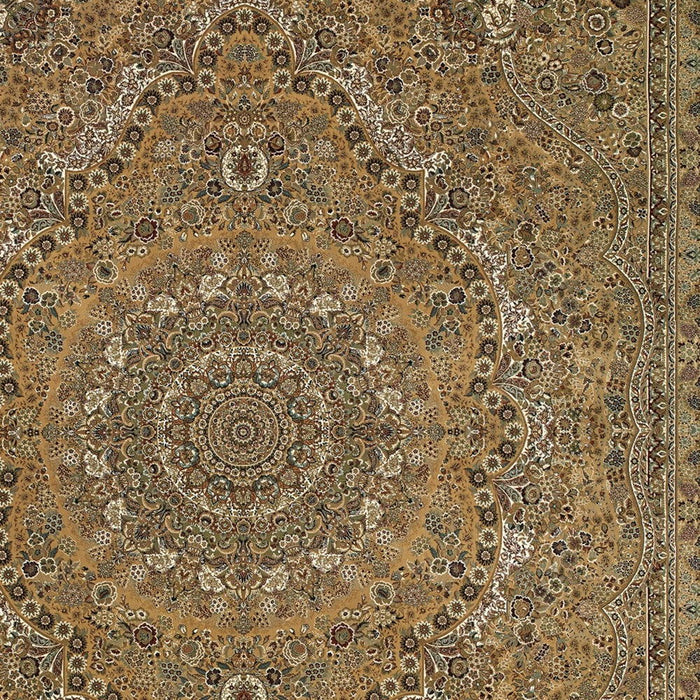 10' X 13' Medallion Area Rug With Fringe - Gold And Ivory