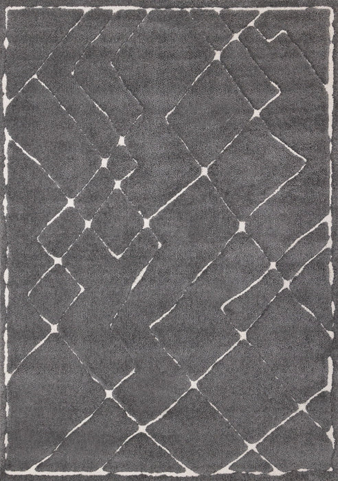 8' X 11' Area Rug (660018) - Gray / White