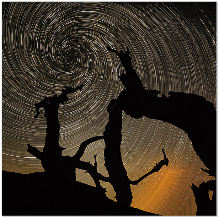 J & M Furniture Wall Art Aurora