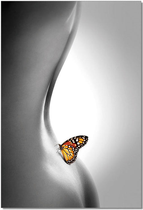 J & M Furniture Wall Art Butterfly