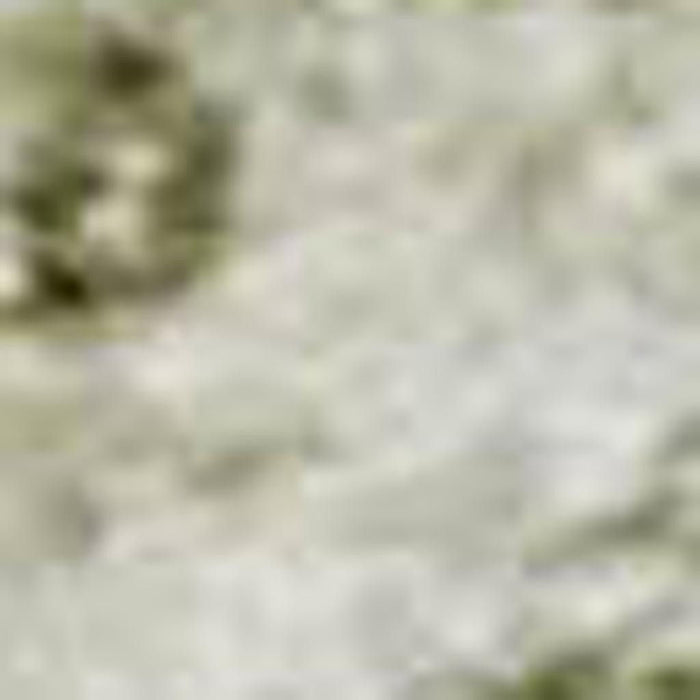 10' X 14' Oriental Washable Area Rug With UV Protection (700643) - Beige / Green