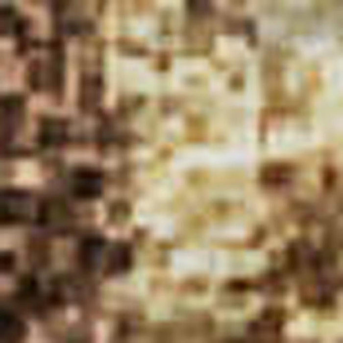 10' X 14' Abstract Washable Area Rug With UV Protection (707887) - Coffee / Beige