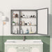 Black brown Giga wall-mounted medicine cabinet with mirror, adjustable shelves, and storage for bathroom organization.