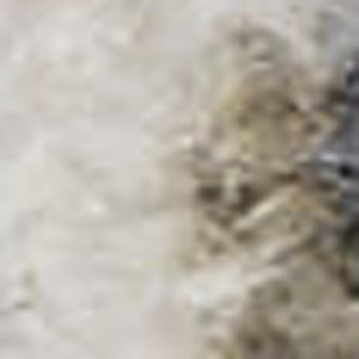 8' X 10' Floral Distressed Area Rug (556349) - Gray
