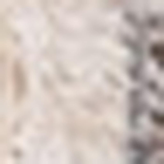 8' X 10' Medallion Area Rug (660200) - Cream / Blue