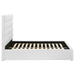 White upholstered Felicity 53-inch full platform bed with padded headboard and sleek design, made by CoasterEveryday.