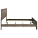 California King panel bed in washed taupe wood, shown from a side view, featuring a sleek, modern furniture design by CoasterEveryday.