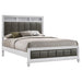 White Barzini Wood Queen Panel Bed by CoasterEveryday featuring a sleek wooden frame and classic panel design.