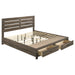Eastern King Storage Panel Bed in Barrel Oak finish by CoasterEveryday, showcasing the wood grain and storage panels.