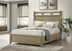 Hazlewood 61-inch Queen Panel Bed by CoasterEveryday in Vineyard Oak finish, showcasing the wooden frame and panel headboard.