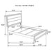 Gray oak twin panel bed by CoasterEveryday featuring a wooden frame and clean, modern design.