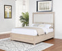 CoasterEveryday Pembroke 66-inch Queen Panel Bed in washed oak wood with classic panel design and sturdy frame.