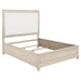 Pembroke 66-inch Queen Panel Bed in Washed Oak, wooden furniture with a classic panel design and natural wood finish.