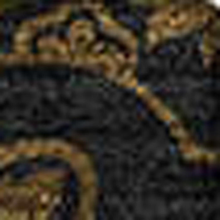 9' X 12' Medallion Washable Area Rug With UV Protection - Brown And Charcoal