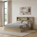 Light oak California king bookcase headboard and platform bed by CoasterEveryday, featuring built-in shelves and clean, modern design.