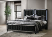 Black Ravenne velvet upholstered Eastern King LED panel bed by CoasterEveryday, showcasing the luxurious headboard and sleek design.