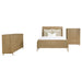 CoasterEveryday Arini 3-piece Queen bedroom set with sand wash finish and natural cane accents, including bed, dresser, and nightstands.