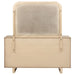 Kailani beige oak 9-drawer dresser with matching mirror, modern furniture by CoasterEveryday showing storage drawers and sleek design