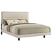 Rustic cream Trenton 54-inch wood eastern king panel bed by CoasterEveryday, showcasing a sturdy wooden frame with panel headboard.