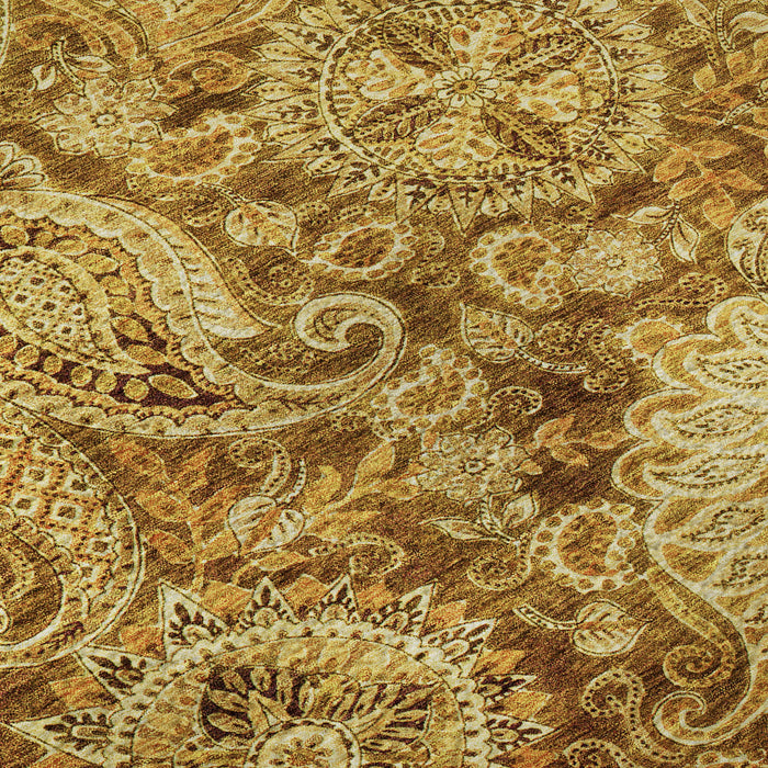 10' X 14' Paisley Washable Area Rug With UV Protection (683770) - Terra Cotta / Beige