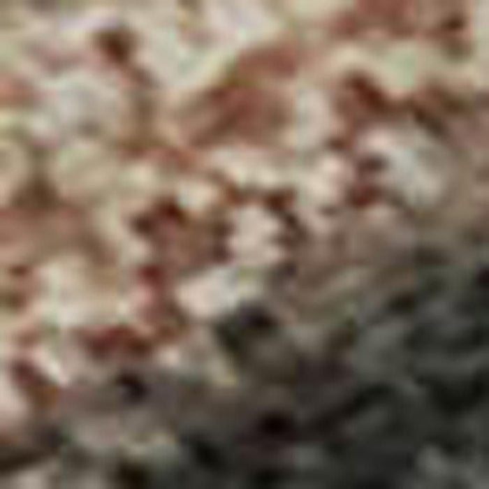 10' X 14' Animal Print Washable Area Rug With UV Protection (698980) - Rust / Charcoal