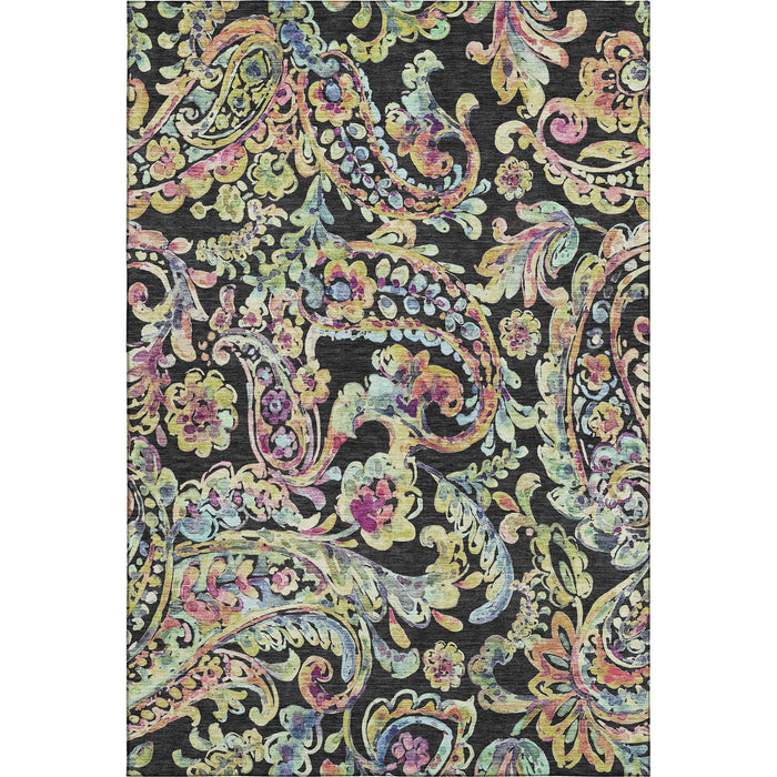 10' X 14' Paisley Washable Area Rug With UV Protection - Black