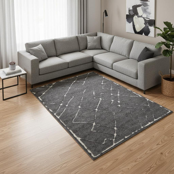 8' X 11' Area Rug (660018) - Gray / White