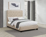 Chloe upholstered full panel bed in oatmeal with padded headboard and wooden frame, modern furniture from CoasterEssence.