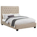 Chloe upholstered full panel bed in oatmeal fabric with a padded headboard and clean-lined frame, CoasterEssence furniture.