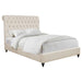 Beige upholstered Queen panel bed from CoasterEssence with a sleek, modern design and a sturdy wooden frame.