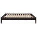 CoasterEssence Hounslow Eastern King universal platform bed in cappuccino finish, showcasing the headboard and sturdy frame design.