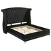 Black Barzini upholstered queen wingback bed with padded headboard and elegant furniture design from CoasterElevations.