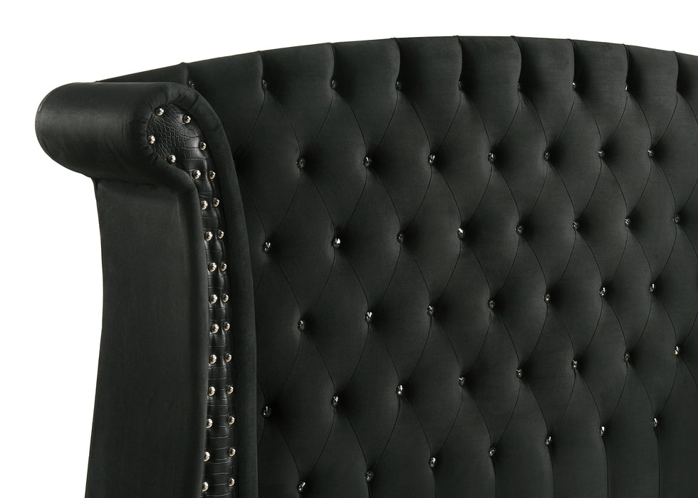 Black Barzini upholstered queen wingback bed with tufted headboard and winged sides, modern furniture by CoasterElevations.