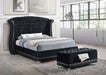 Black Barzini Velvet Upholstered Tufted Storage Bench by CoasterElevations, featuring plush velvet fabric and tufted cushion for stylish storage.