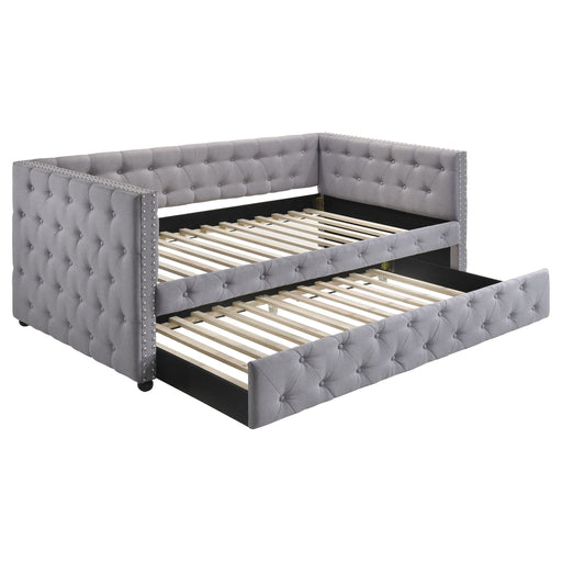 CoasterEssence Mockern upholstered twin daybed with trundle in grey, featuring a padded headboard and sleek wooden frame.