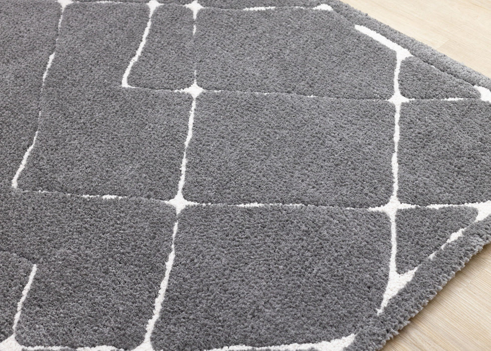 8' X 11' Area Rug (660018) - Gray / White