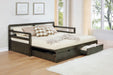 CoasterEssence Sorrento twin XL daybed with two drawers and extension trundle in grey, showing the modern furniture design.